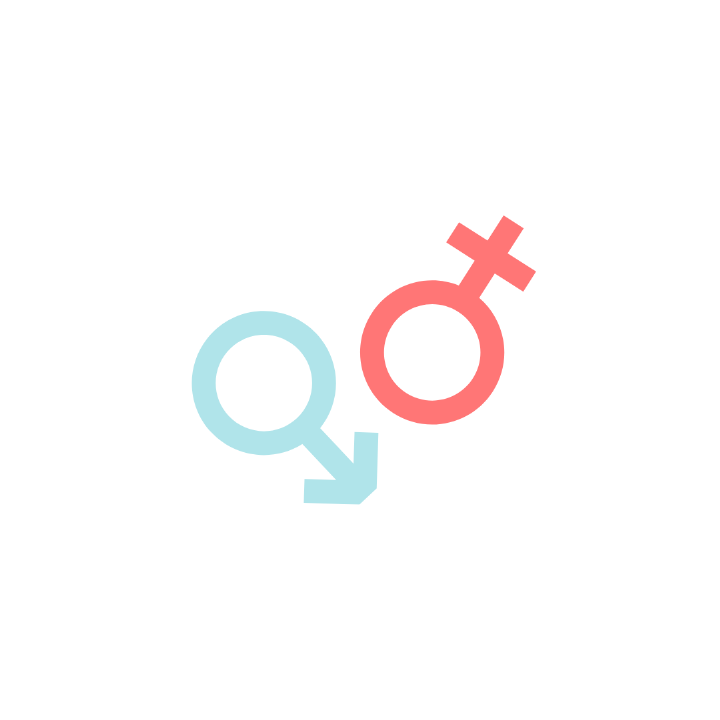 L’index de l’égalité femmes - hommes en 2025